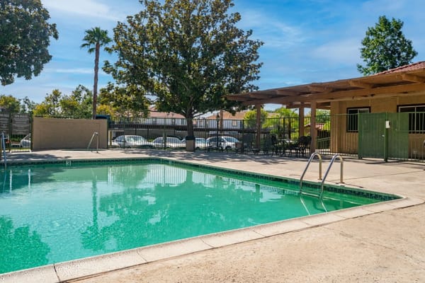 Swimming pool area with surrounding greenery