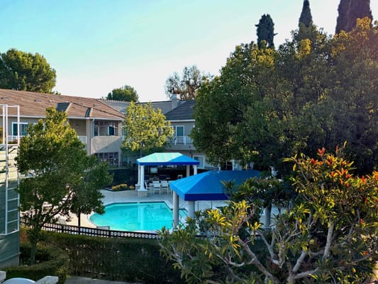 Outdoor pool area surrounded by trees and buildings