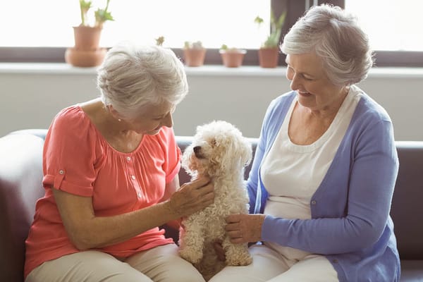 Two elderly women interacting with a small dog in a cozy common area