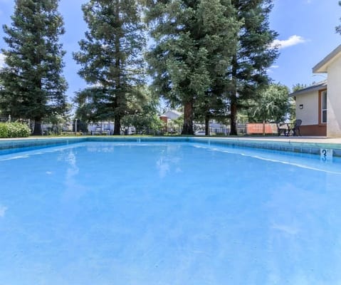 A clear swimming pool surrounded by trees