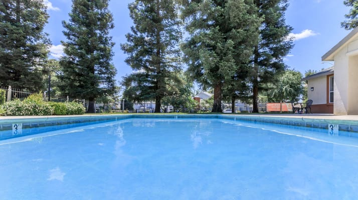 Swimming pool surrounded by trees and patio area