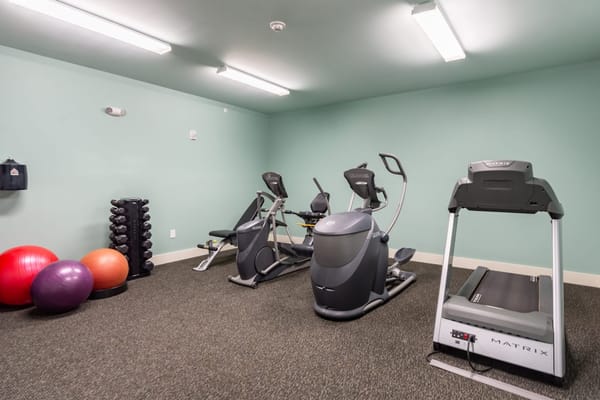 Exercise equipment in the fitness center including elliptical machines and weights.