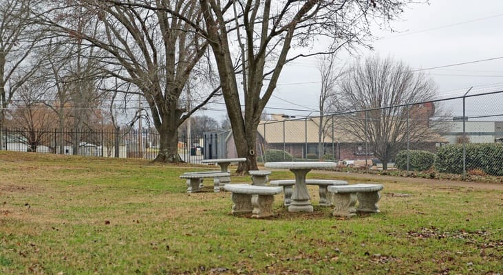 Seating area in a grassy outdoor space