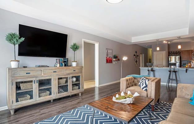 Spacious living room featuring a TV, wooden furniture, and decorative plants.
