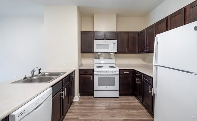 Well-equipped kitchen featuring stainless steel appliances and dark cabinetry.