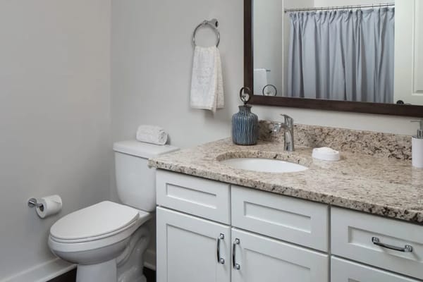 Modern bathroom with granite countertop and fixtures