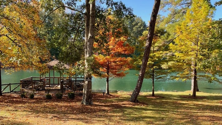 A serene outdoor space by a lake with colorful trees