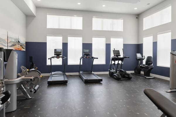 Well-equipped fitness center featuring treadmills and exercise machines.