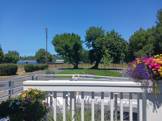 View of green landscape with trees and flowers