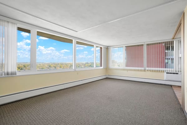 Bright sunny room with large windows and carpeted floor