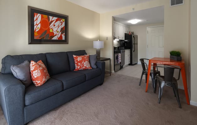 Cozy living area with a sofa and kitchen space