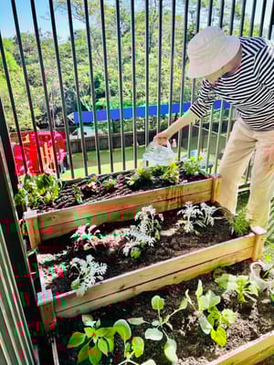 Resident tending to a garden in an outdoor space
