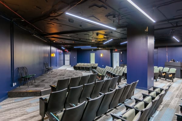 Interior view of the theater with seating and modern lighting