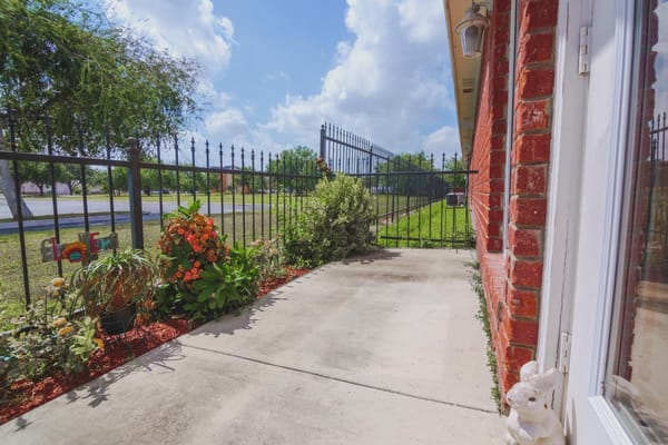 Outdoor garden area with plants and a concrete path