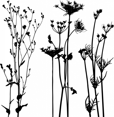 Serenity Pointe Assisted Living