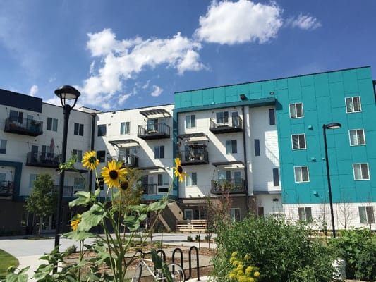 Building exterior with sunflower garden in front
