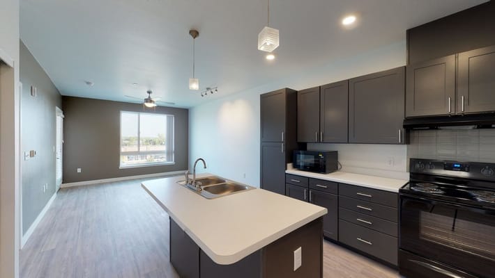 Modern kitchen and living area in a senior apartment