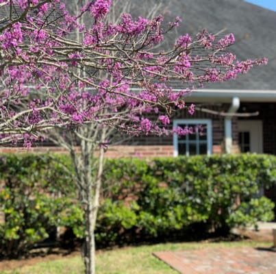 Quality Living Personal Care