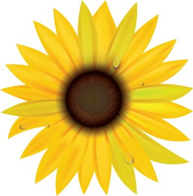 Mirasol Senior Community