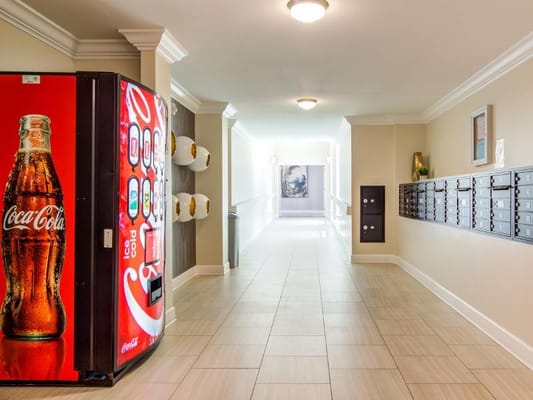 Waverly Terrace Senior