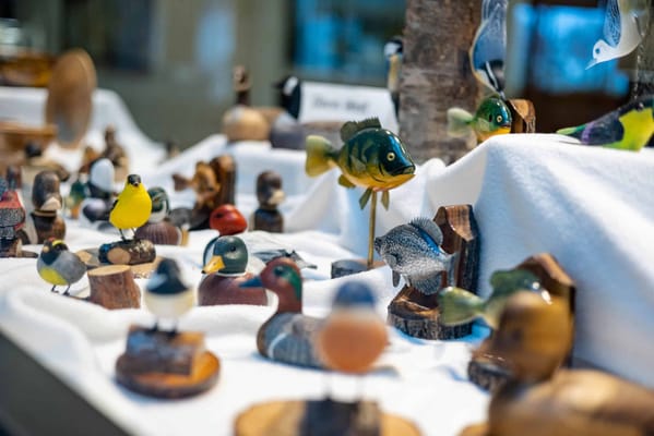 Nokomis Square Cooperative