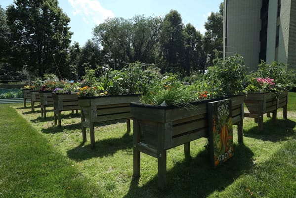 Nokomis Square Cooperative