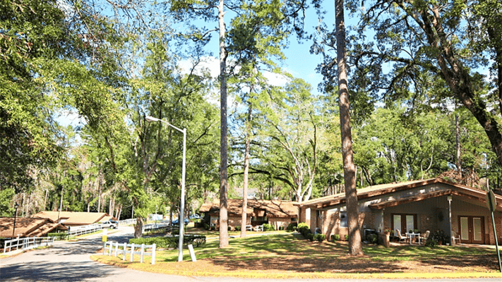 Exterior view of Miccosukee Hills Apartments surrounded by trees