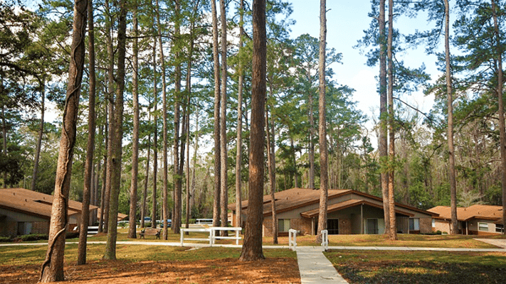 View of Miccosukee Hills Apartments surrounded by trees