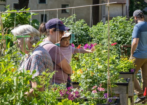 Nokomis Square Cooperative