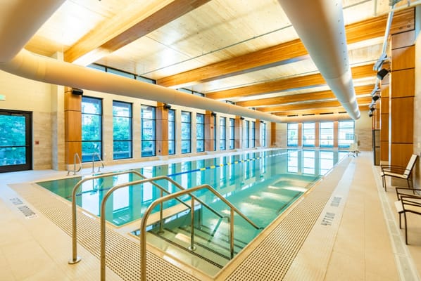 Indoor swimming pool with wooden beams and large windows