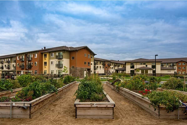Garden area with raised beds and residential buildings