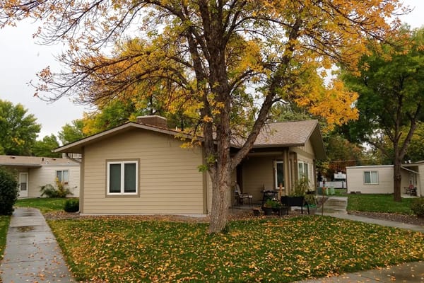 Exterior view of a residential building with fall foliage