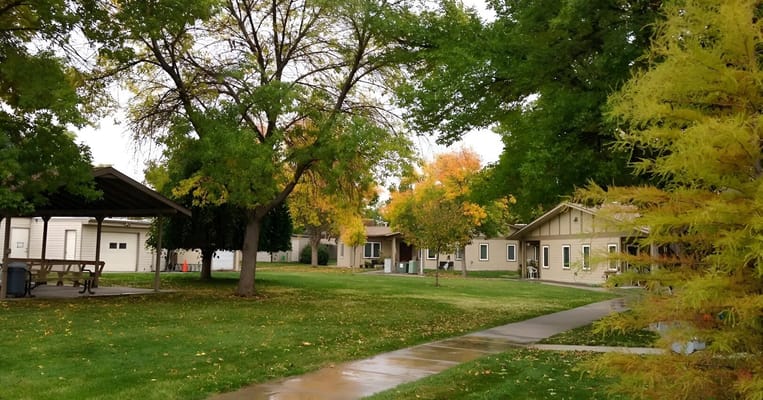 Outdoor view of landscaped area with trees and buildings