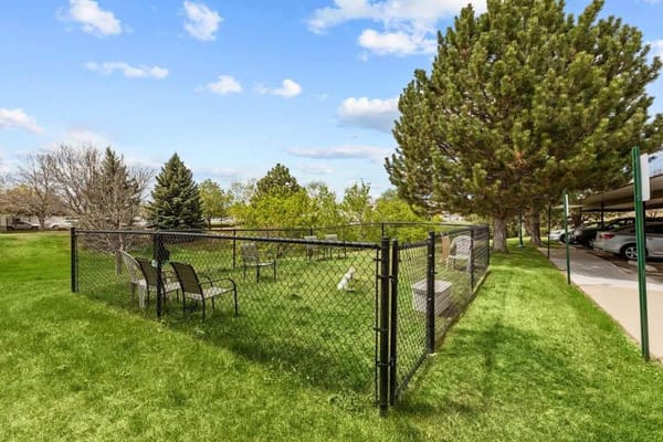 Fenced outdoor patio with chairs and greenery