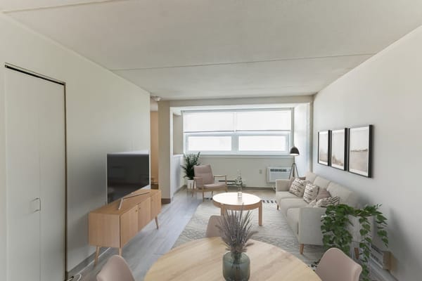 Bright living space with modern furnishings