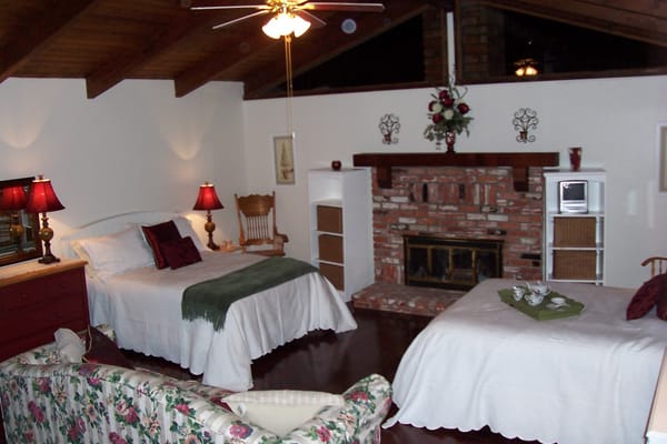 Spacious living room with a fireplace and two beds