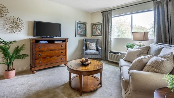Bright living room with comfortable furniture