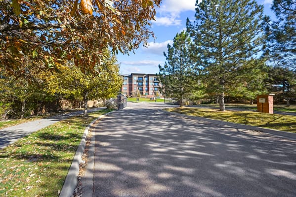 Driveway leading to Amberley at Inverness with trees
