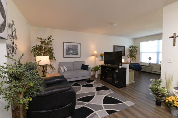 Comfortable living room with sofa, TV, and plants.