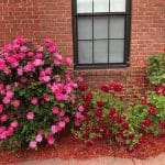 Bacon Congregate Homes