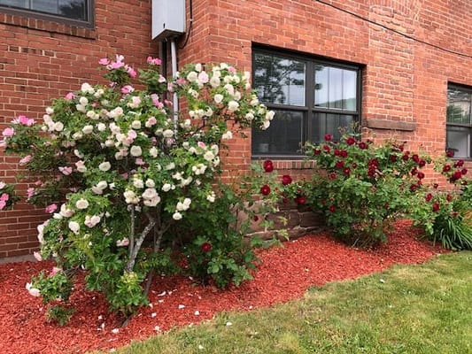 Bacon Congregate Homes