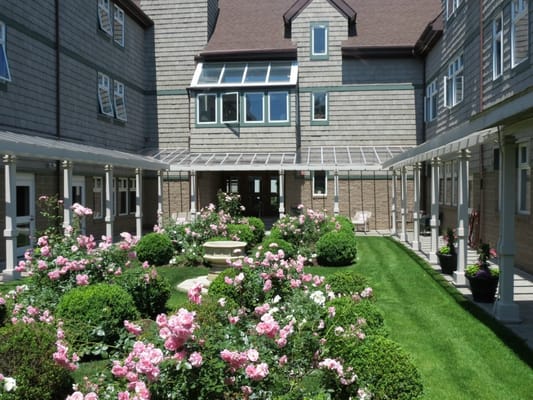 Well-maintained courtyard with pink roses and green shrubs.