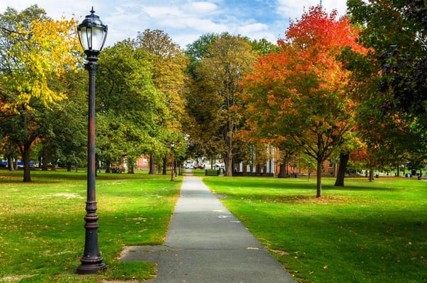 A scenic pathway through a colorful park