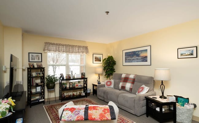 Comfortable living room with couch, plants, and decor