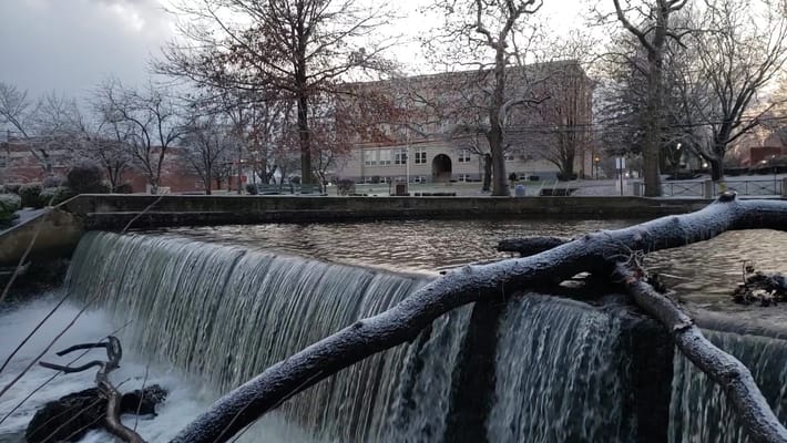 A waterfall with a branch in the foreground, showing snowfall on trees.