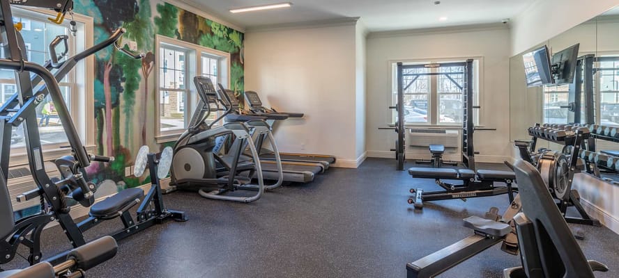 Well-equipped gym with exercise machines