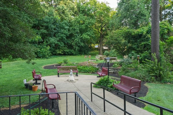 A peaceful garden area with benches surrounded by greenery.
