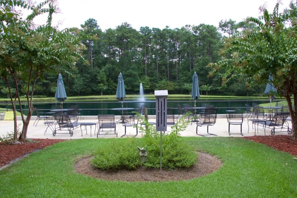 Outdoor seating area by a serene pond
