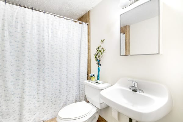 A clean, well-lit bathroom with a shower curtain, sink, and decorative plants.