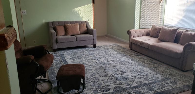 Bright, cozy lounge area with two sofas